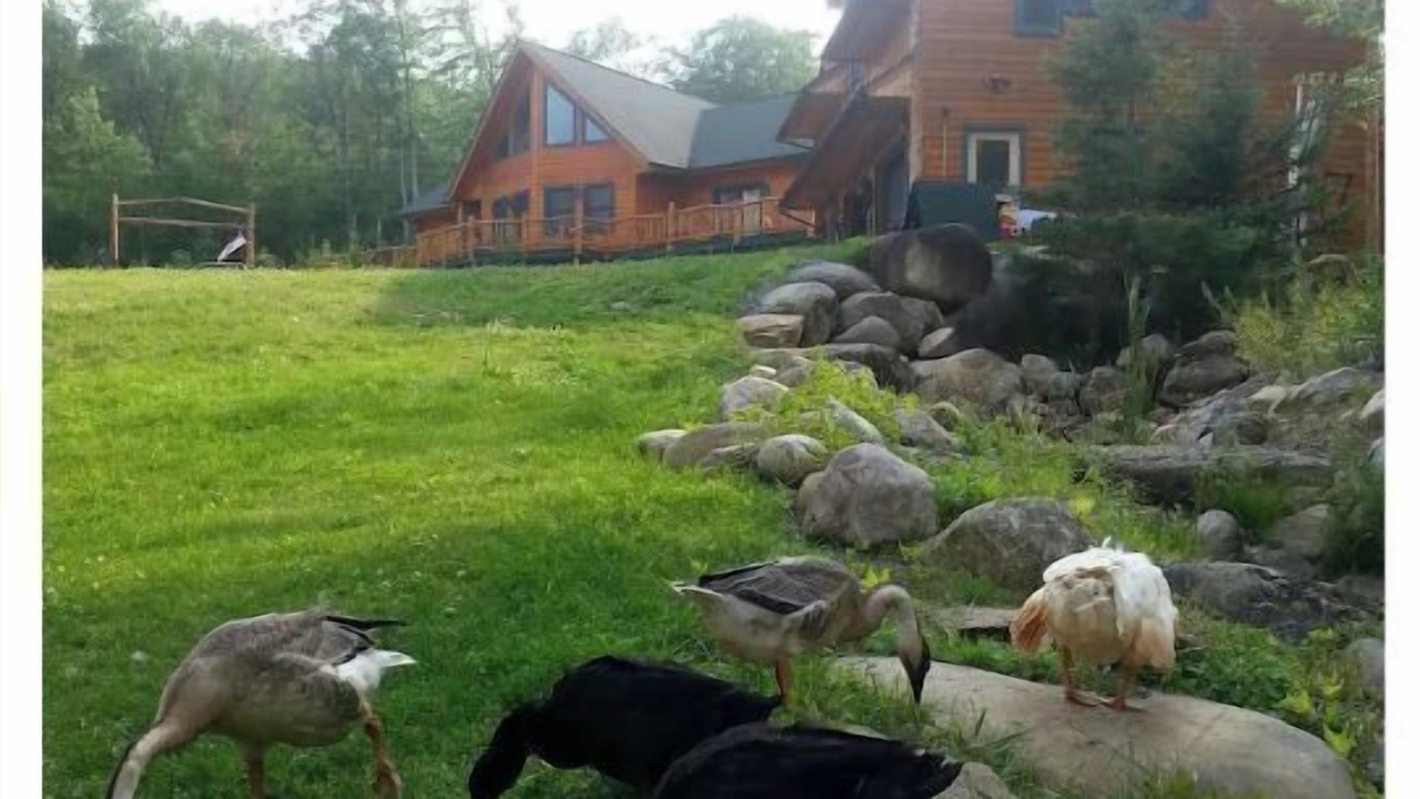 Photo of Outdoor in Jay