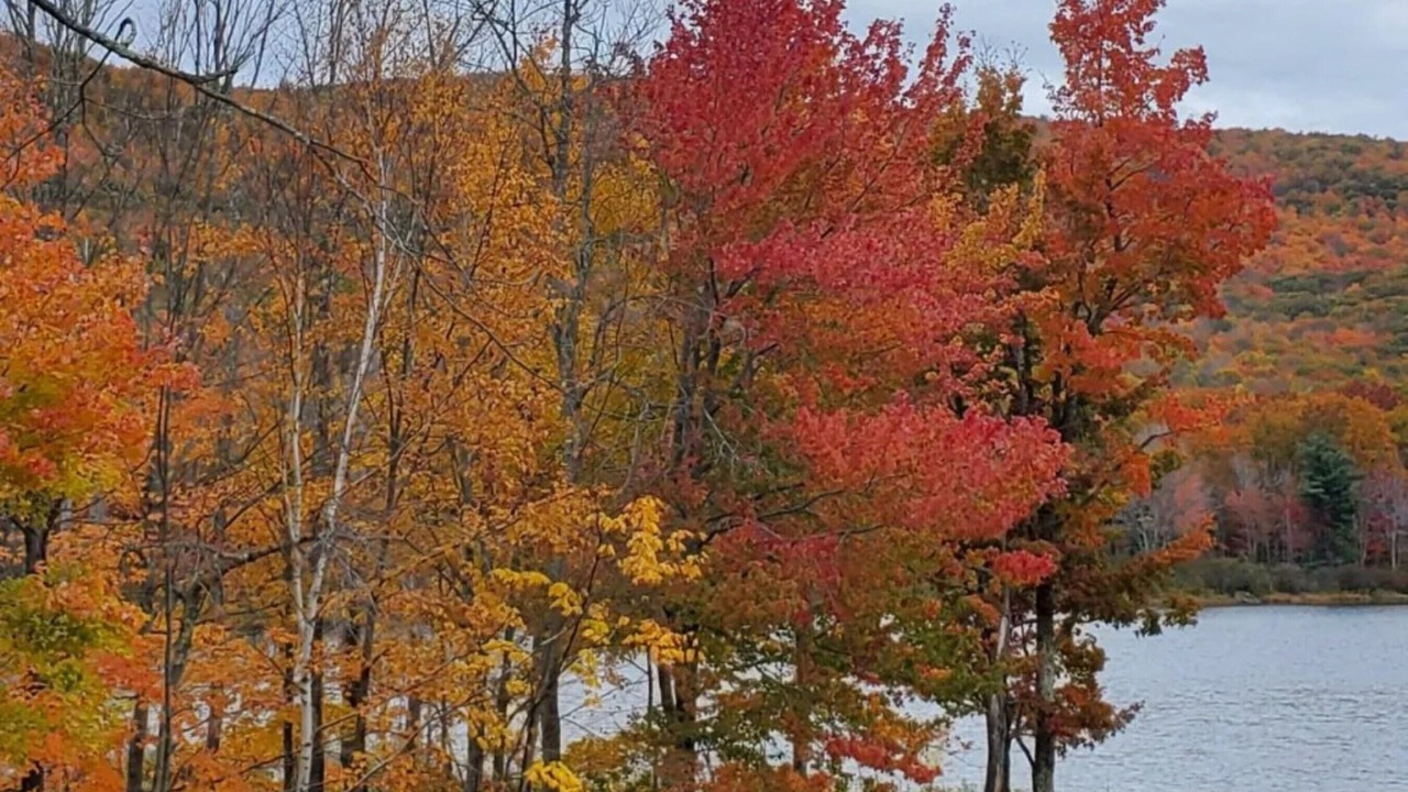 Photo of Others in Windham