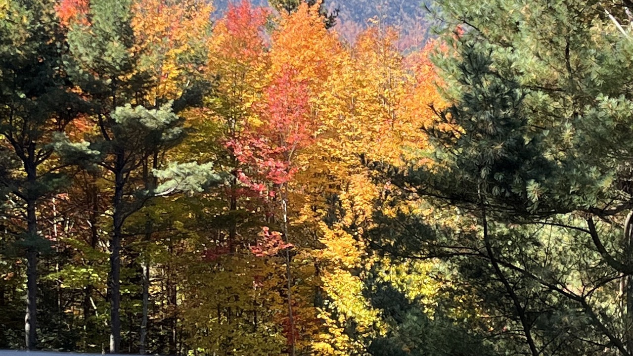 Photo of Outdoor in Wilmington
