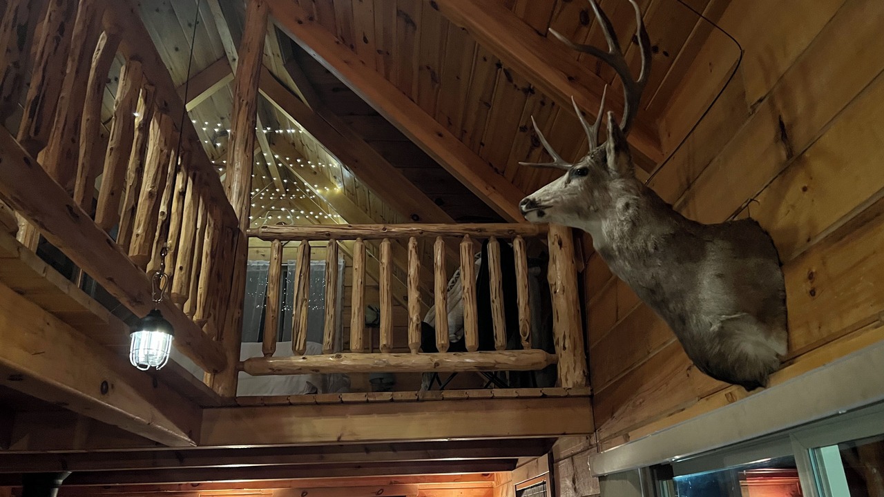 Photo of Others in Hannibal