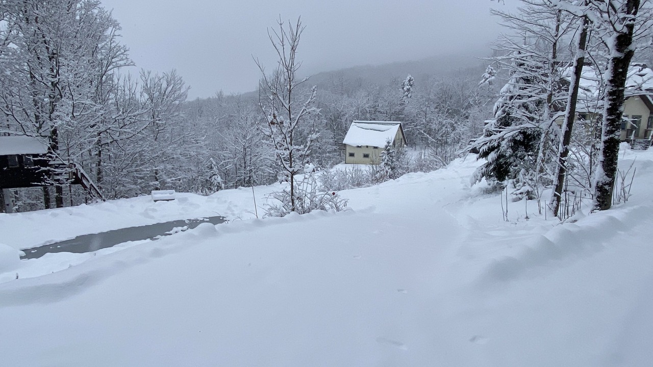 Photo of Outdoor in Underhill