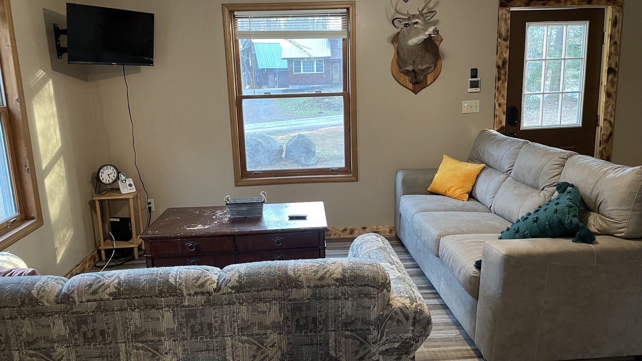 Photo of Livingroom in Lowville