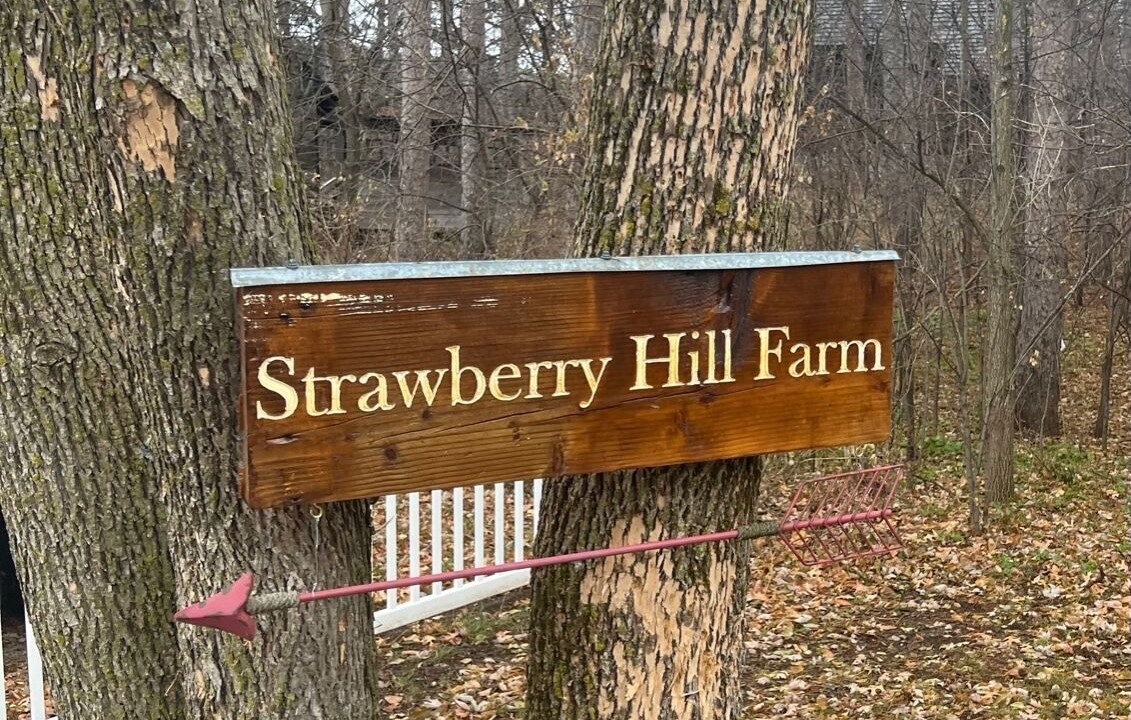 Photo of Others in Afton