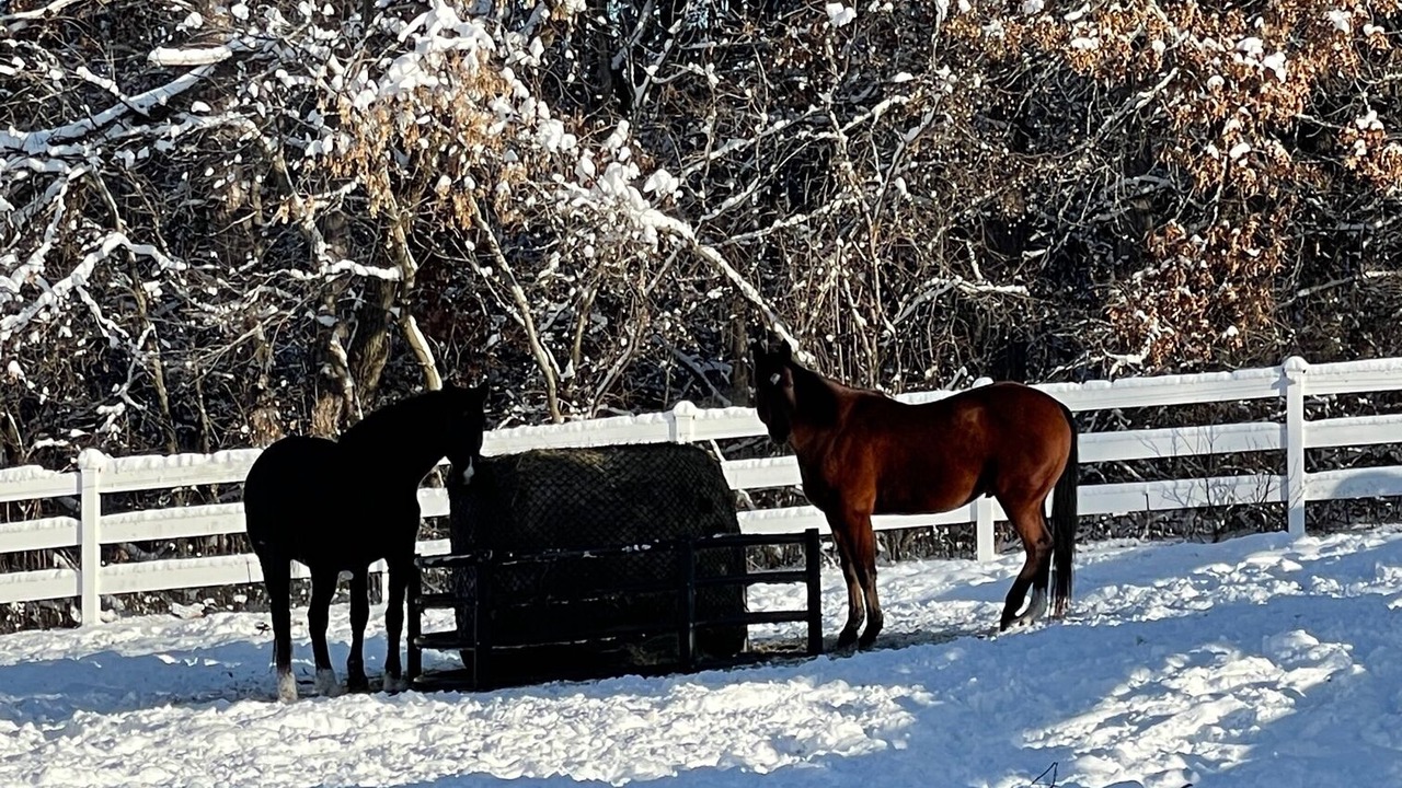 Photo of Others in Afton