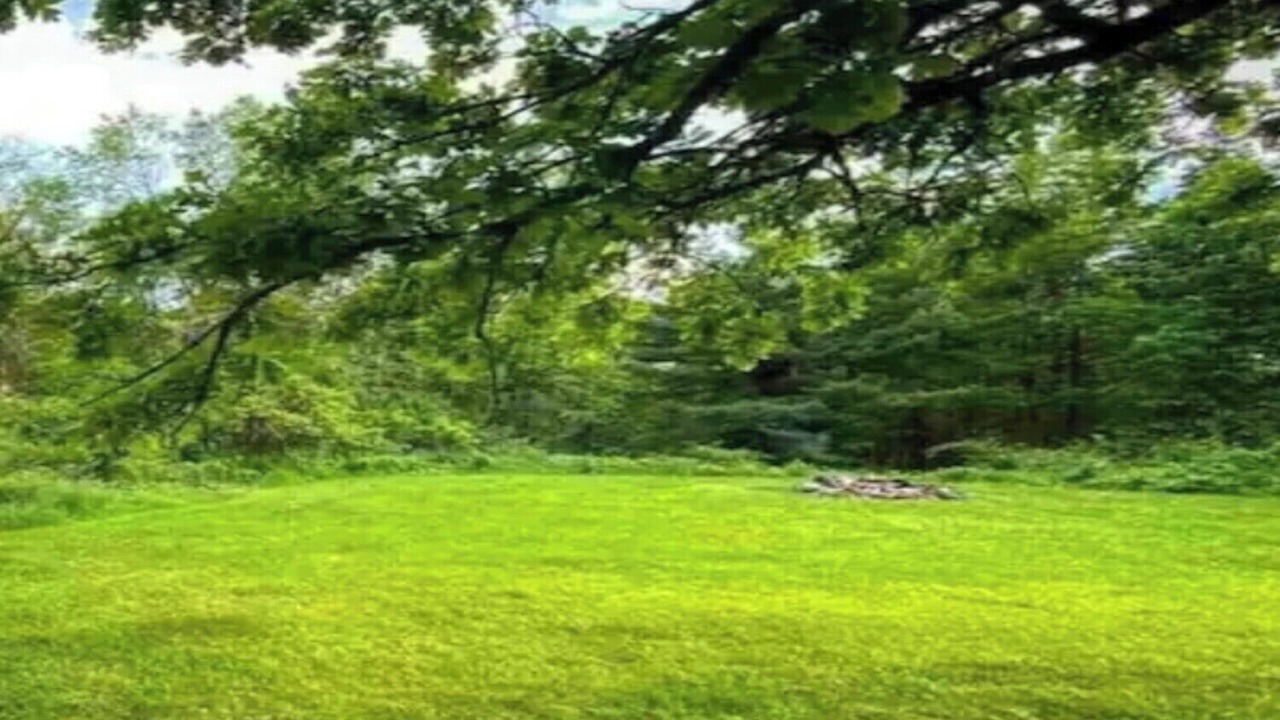 Photo of Outdoor in Canton