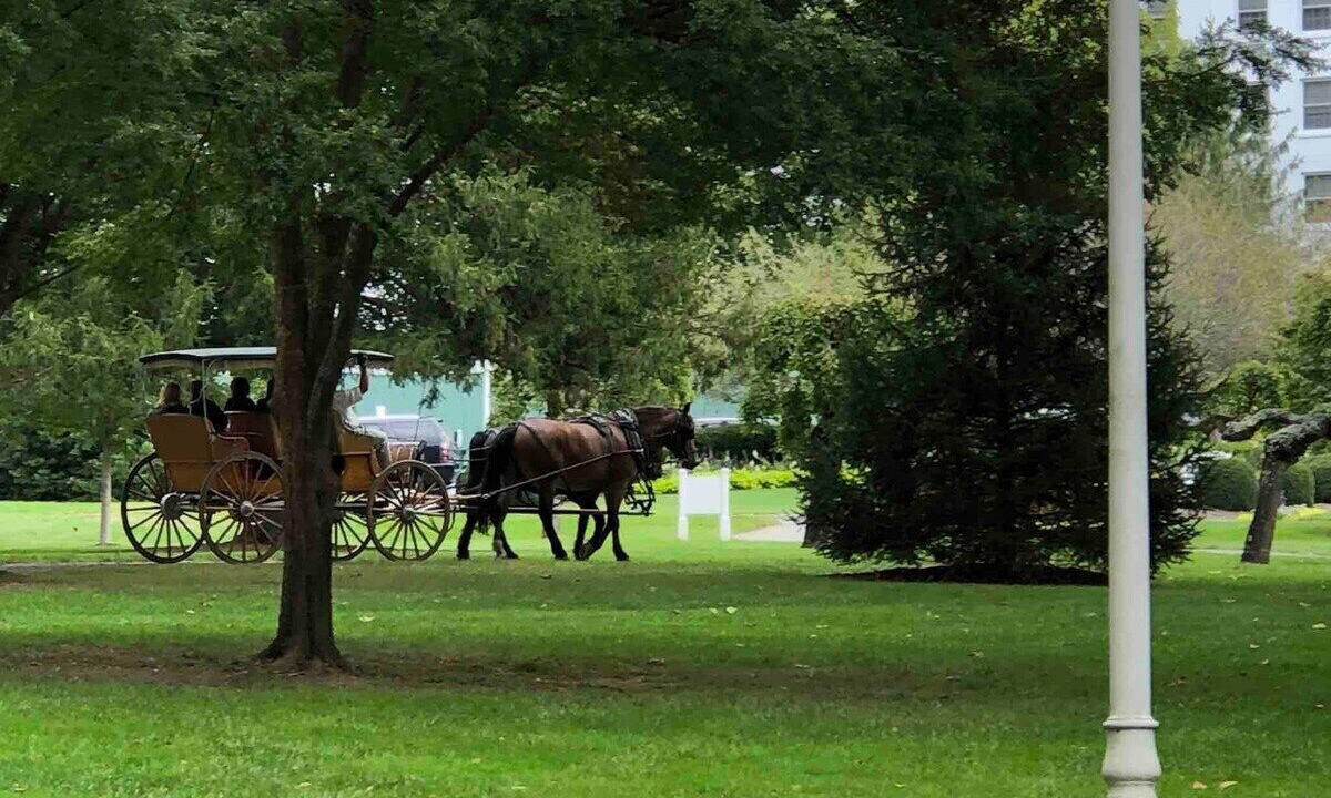 Photo of Outdoor in White Sulphur Springs