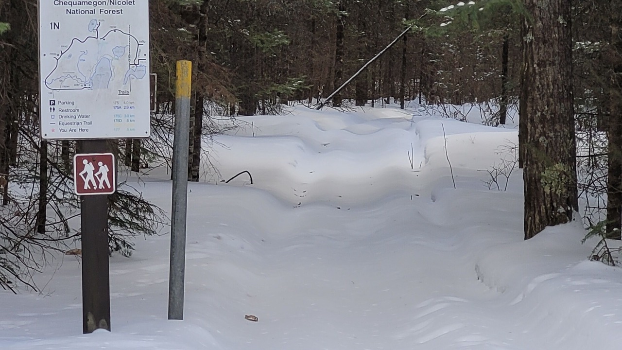 Photo of Outdoor in Park Falls