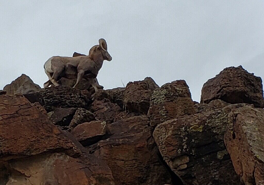 Photo of Outdoor in Valdez