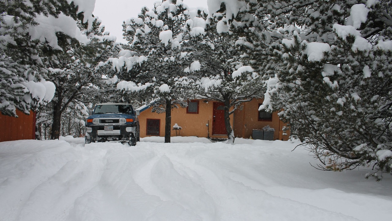 Photo of Others in Valdez