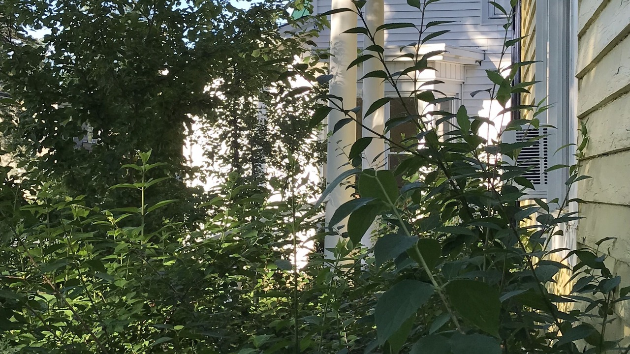 Photo of Outdoor in Canton