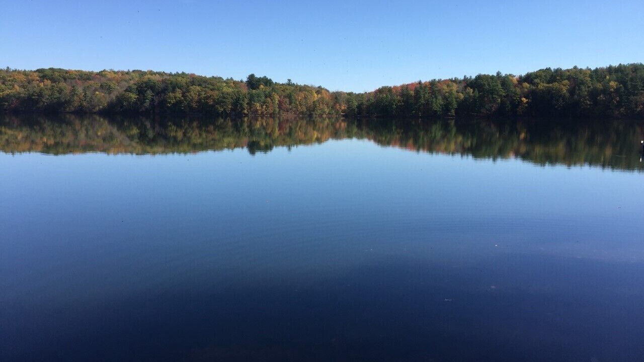 Photo of Others in Averill Park