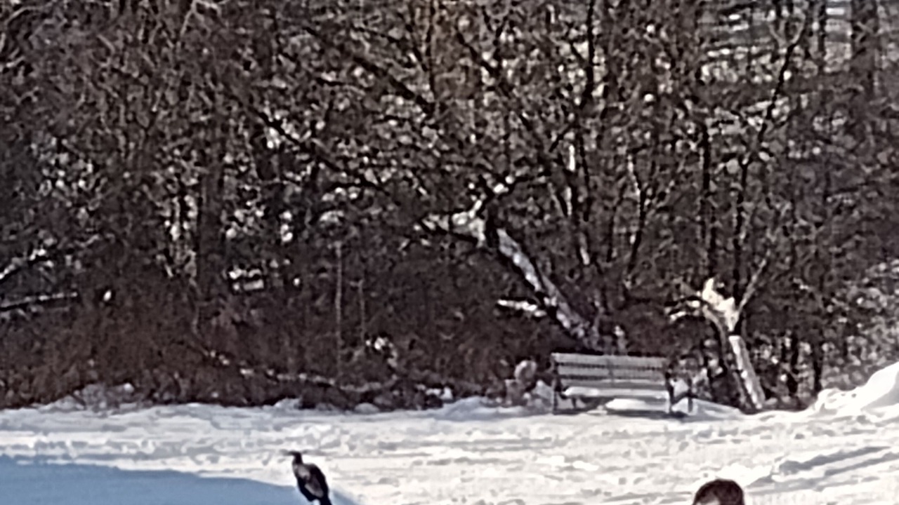 Photo of Others in Williamstown