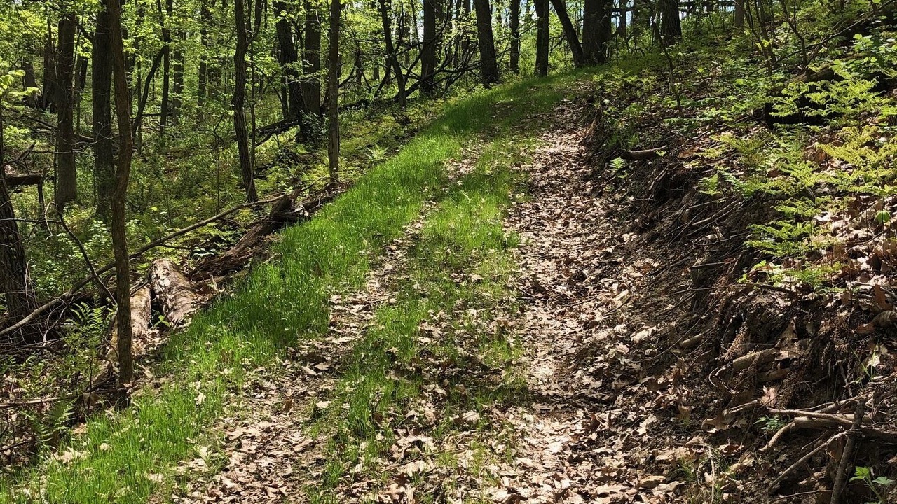 Photo of Outdoor in Lansing