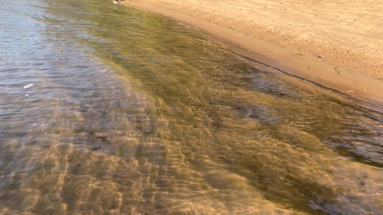 Photo of Others in Webster