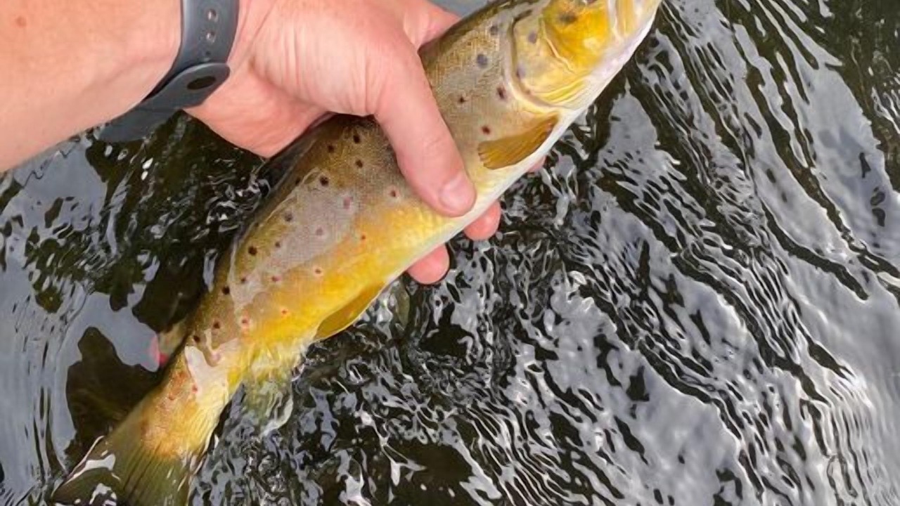 Photo of Outdoor in St Croix Falls