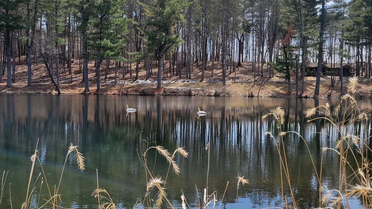 Photo of Outdoor in St Croix Falls