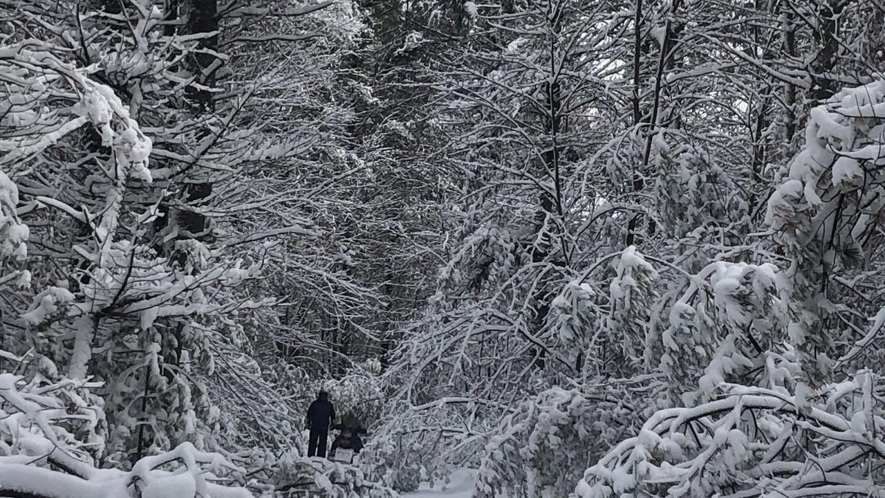 Photo of Others in Black River Falls