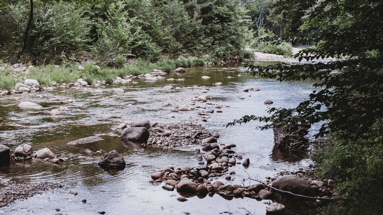 Photo of Others in Woodstock