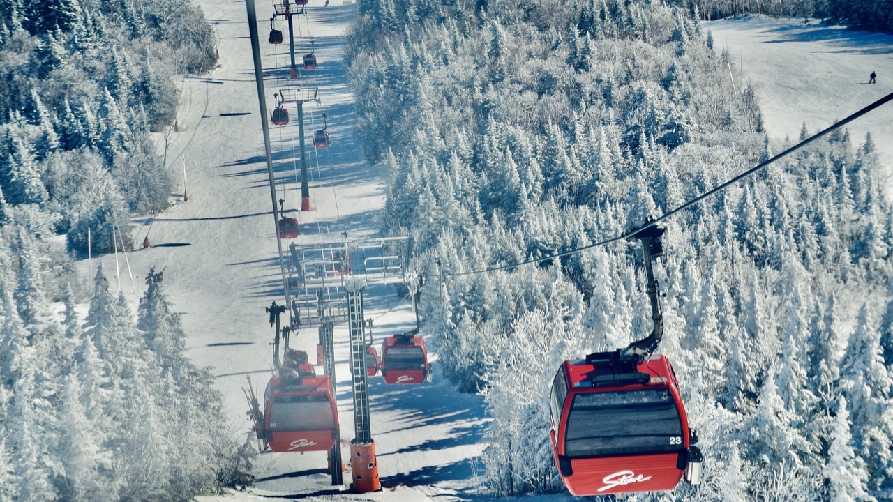 Photo of Others in Stowe Area