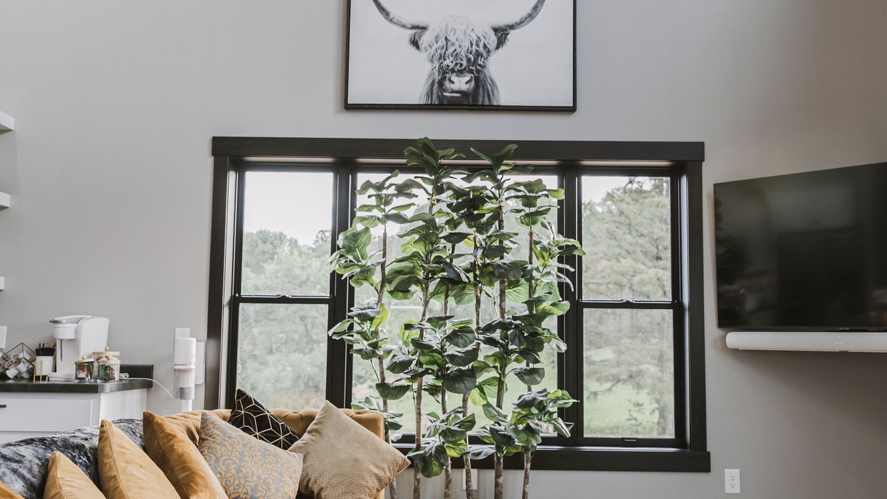 Photo of Livingroom in New Auburn
