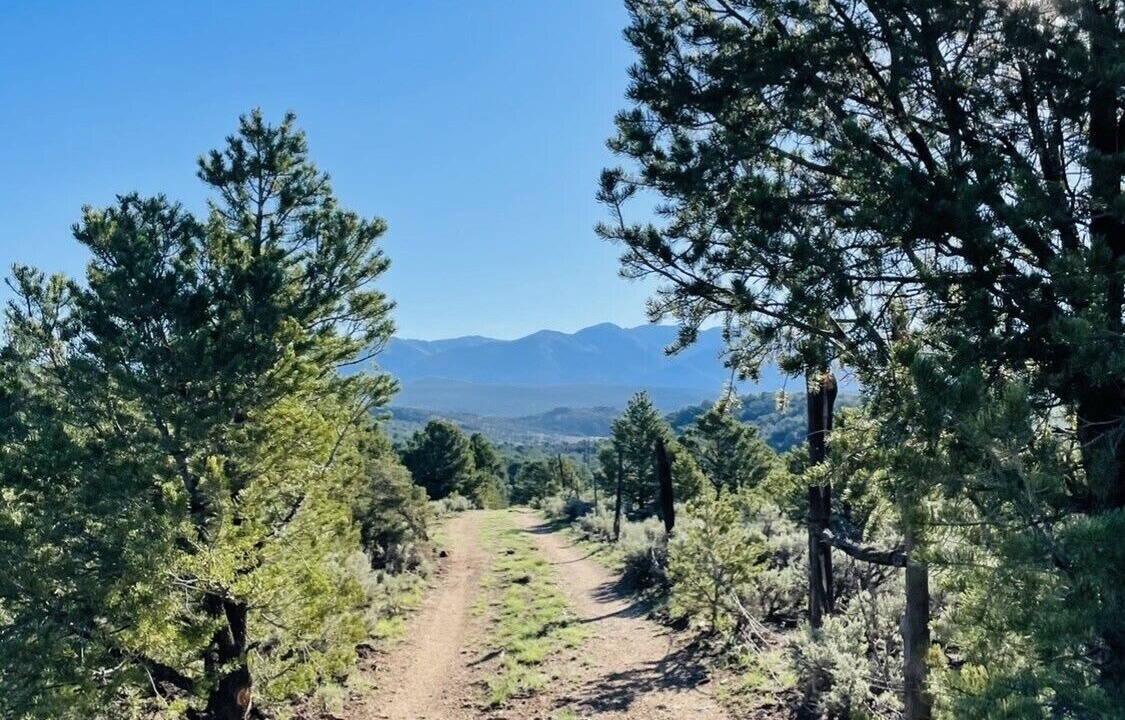 Photo of Others in Arroyo Hondo