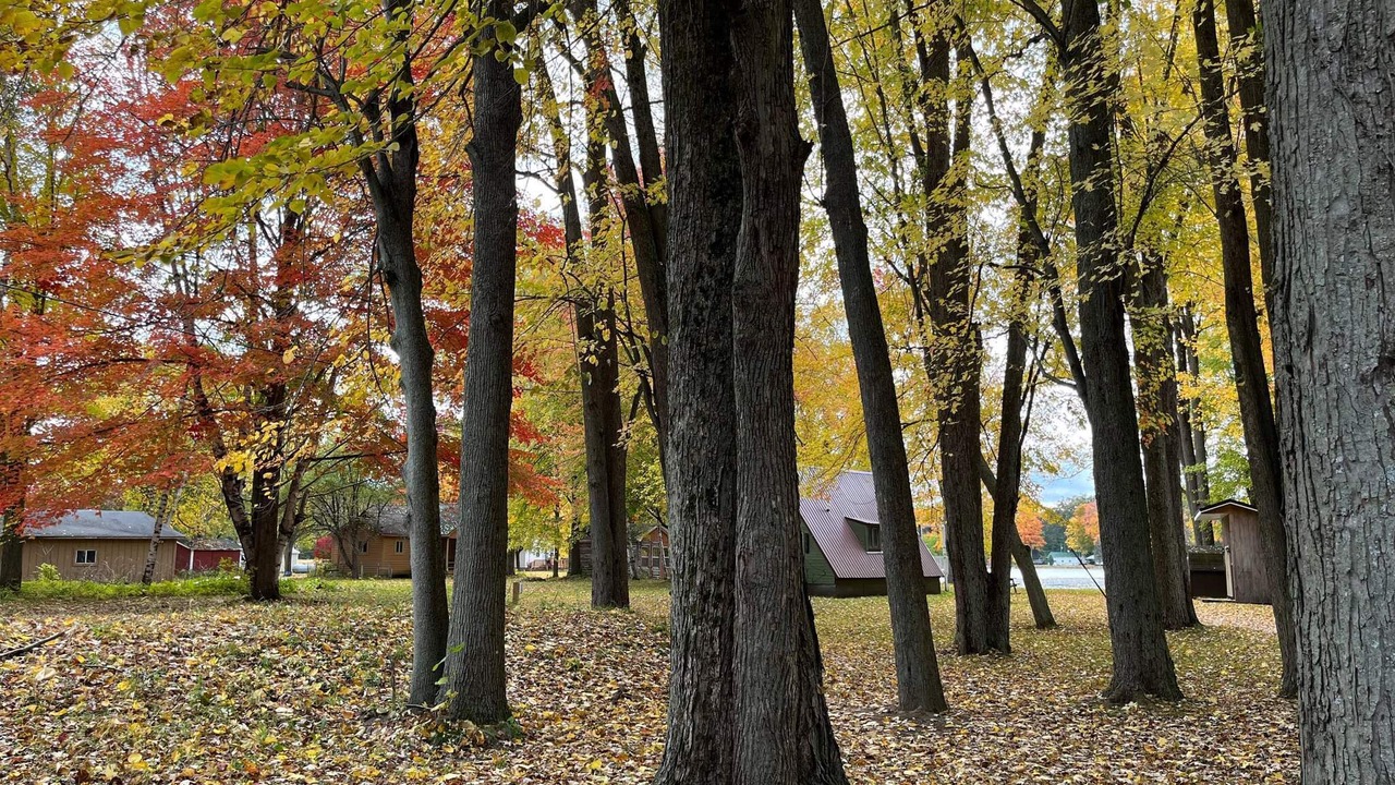 Photo of Outdoor in Sumner