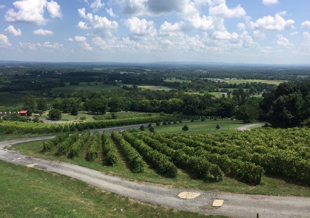 Photo of Others in Bluemont