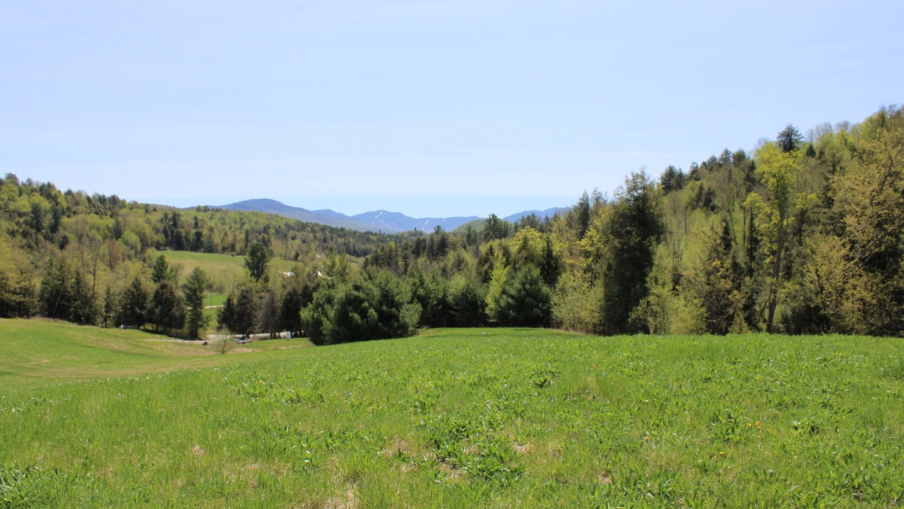 Photo of Outdoor in Fletcher