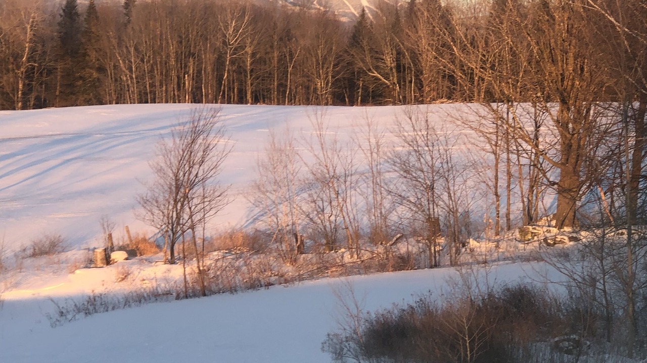 Photo of Outdoor in Newport Center