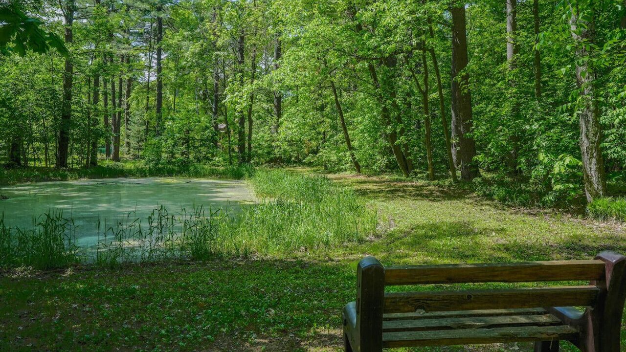 Photo of Outdoor in Pine City