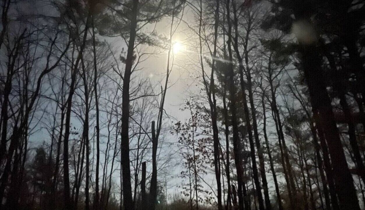 Photo of Others in Pine City