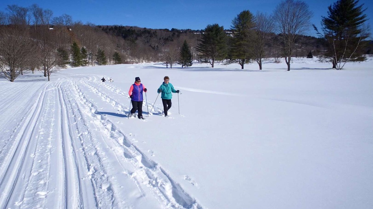 Photo of Others in West Hartford