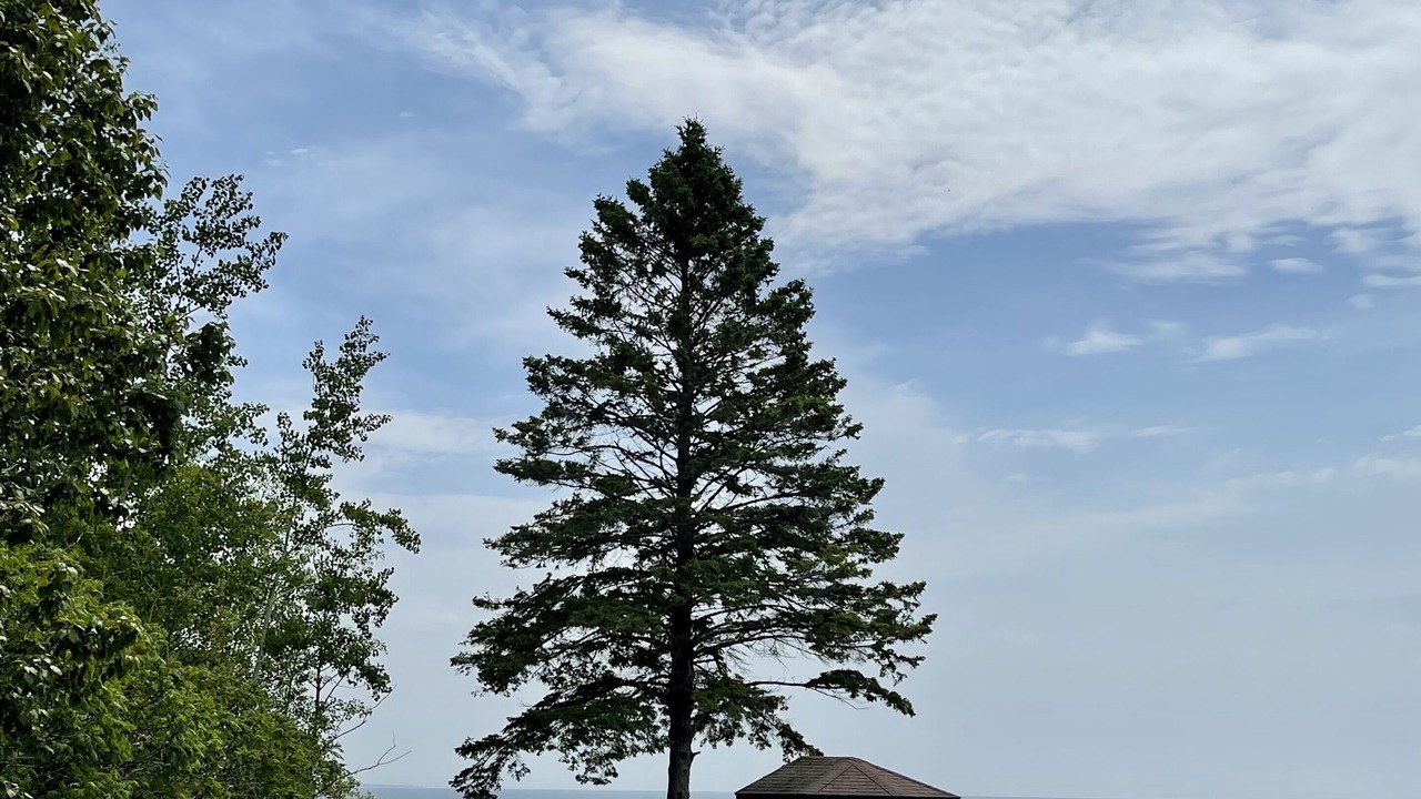 Photo of Outdoor in Escanaba