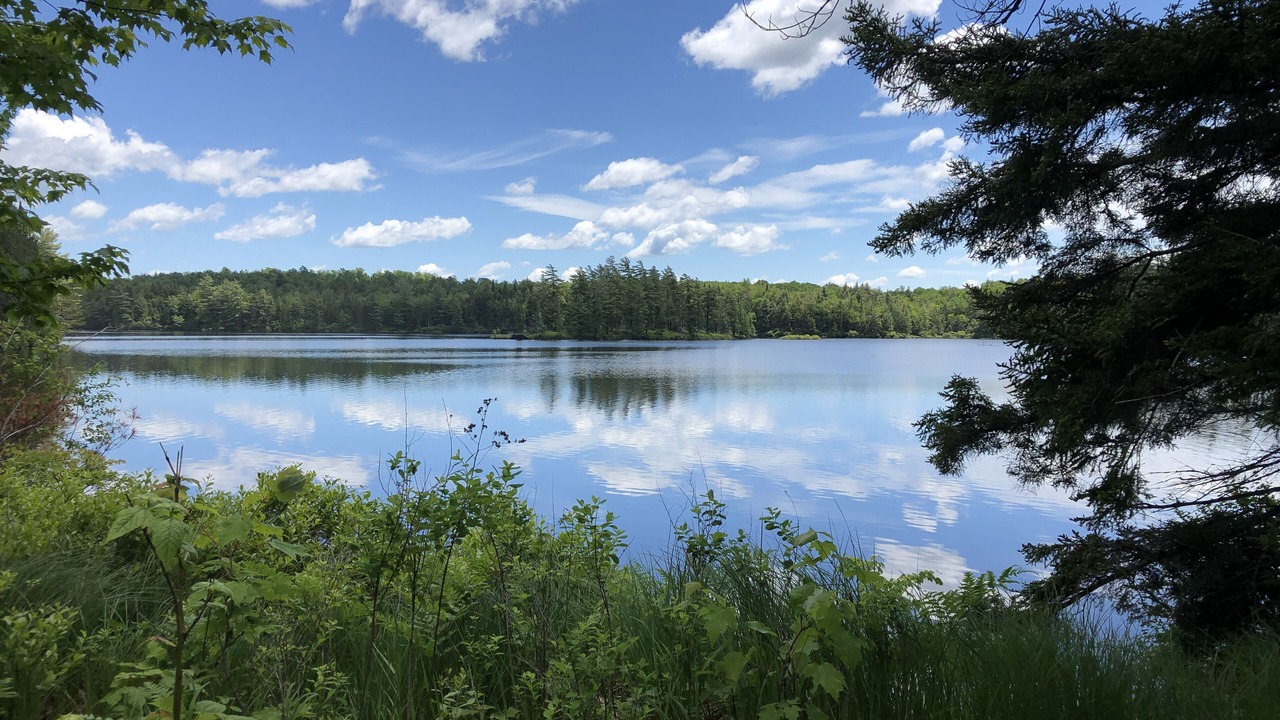 Photo of Outdoor in Cranberry Lake