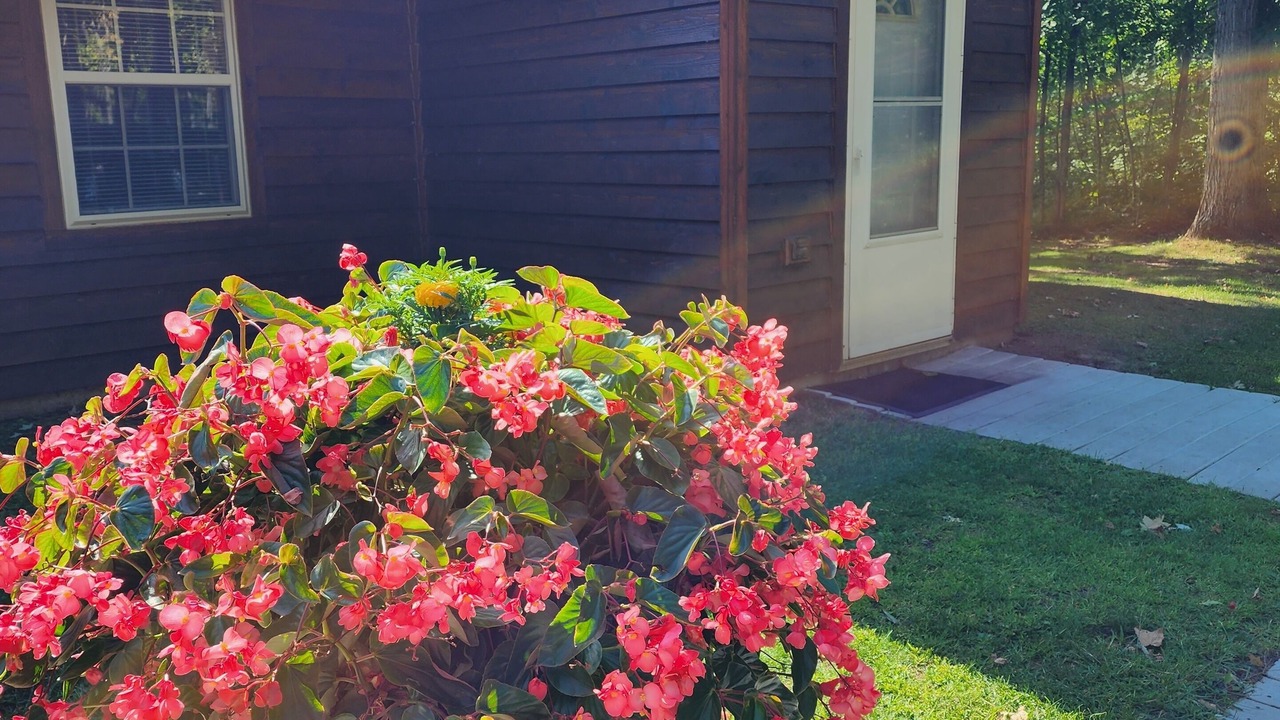 Photo of Outdoor in Hunter