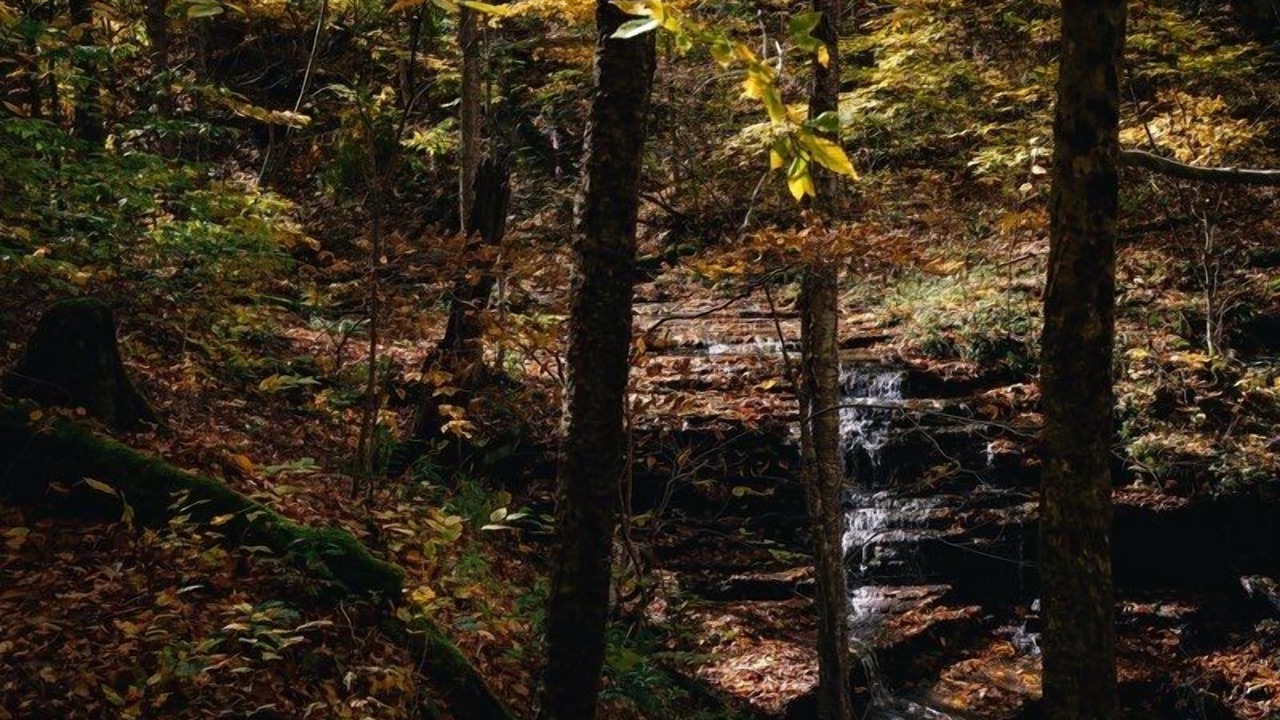 Photo of Others in Slaty Fork