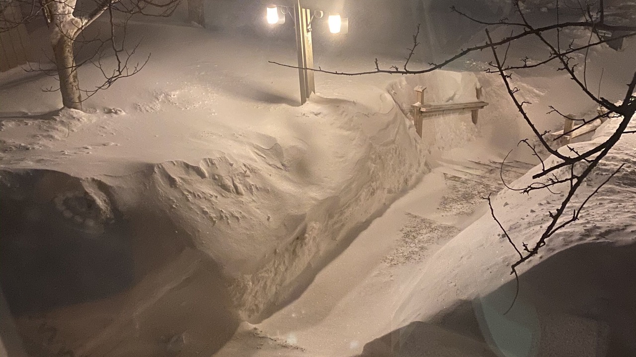 Photo of Others in North Troy