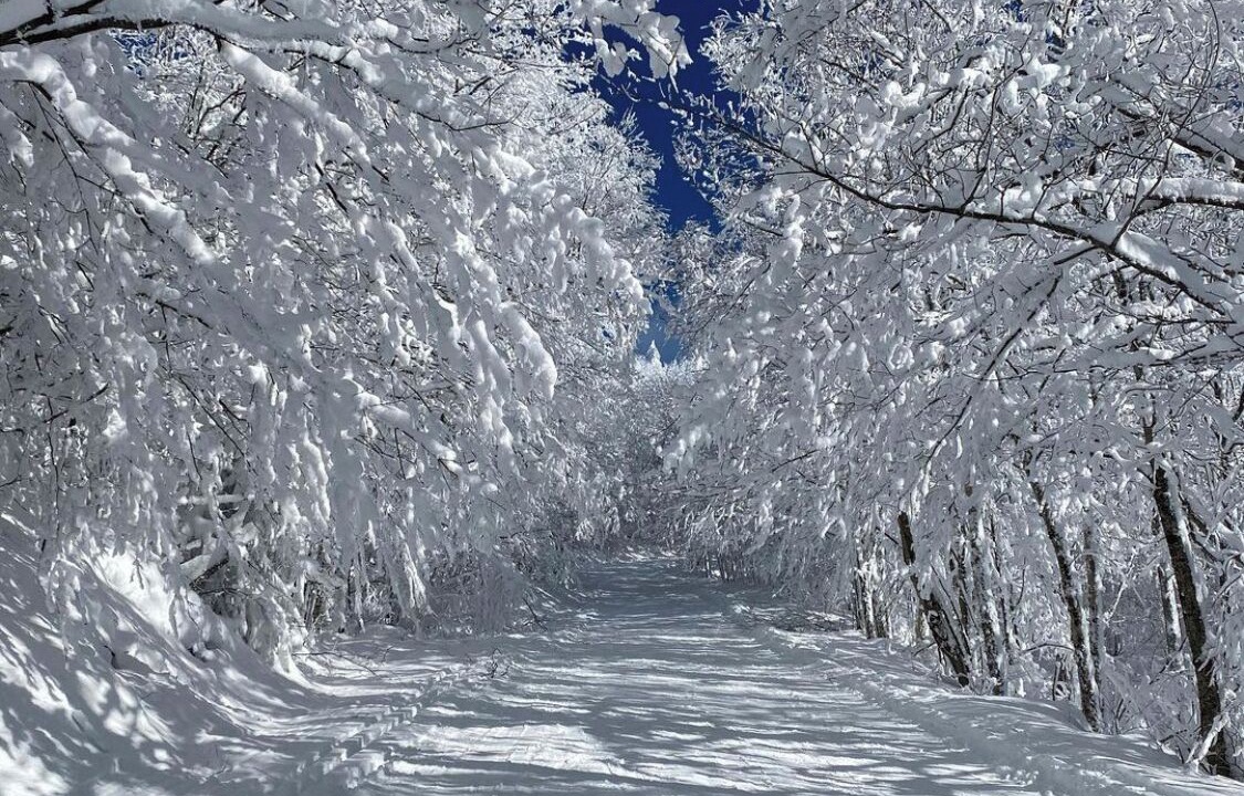 Photo of Others in Stowe Area