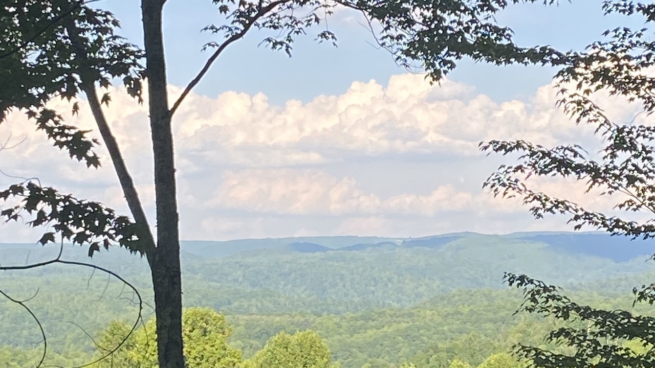 Photo of Others in French Creek