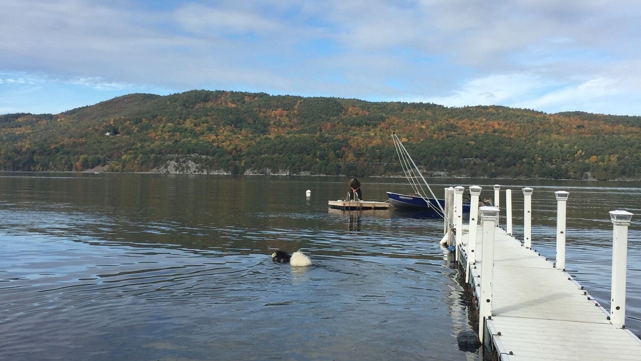 Photo of Others in Willsboro