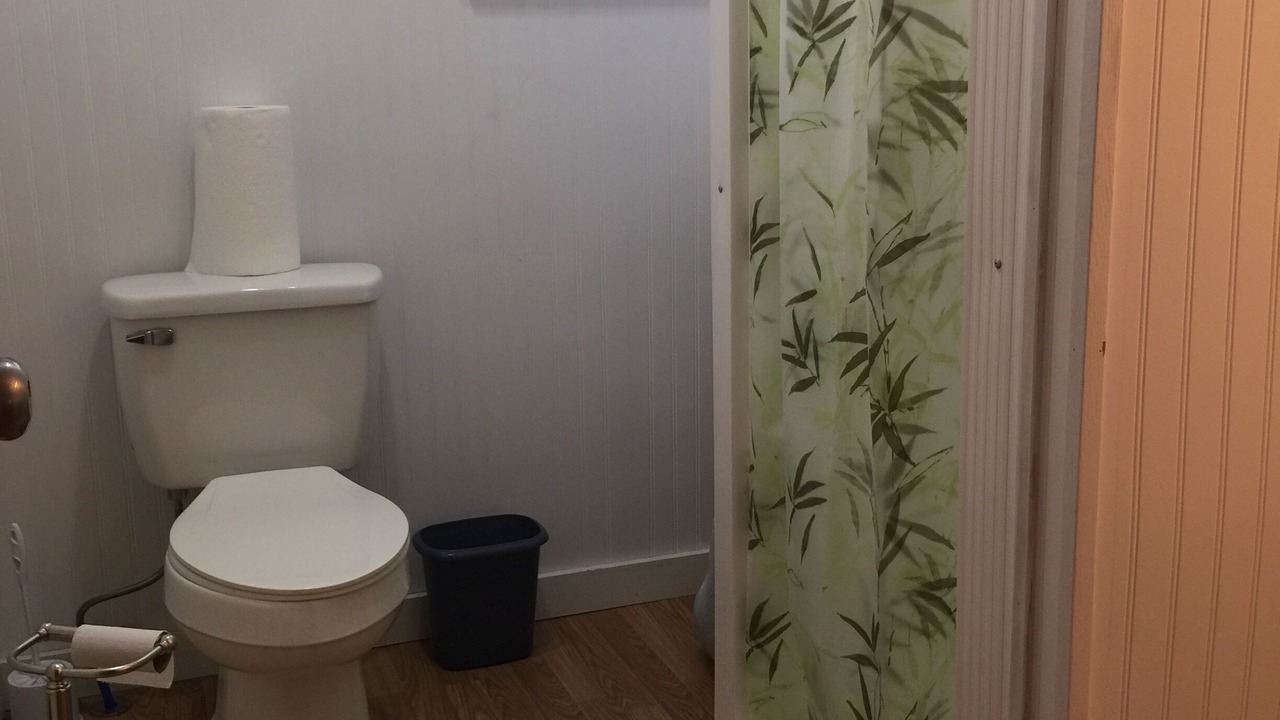 Photo of Bathroom in Willsboro
