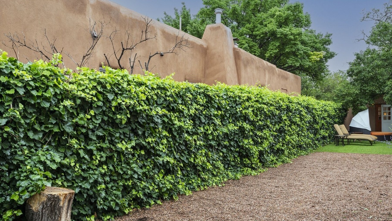 Photo of Outdoor in Historic Eastside