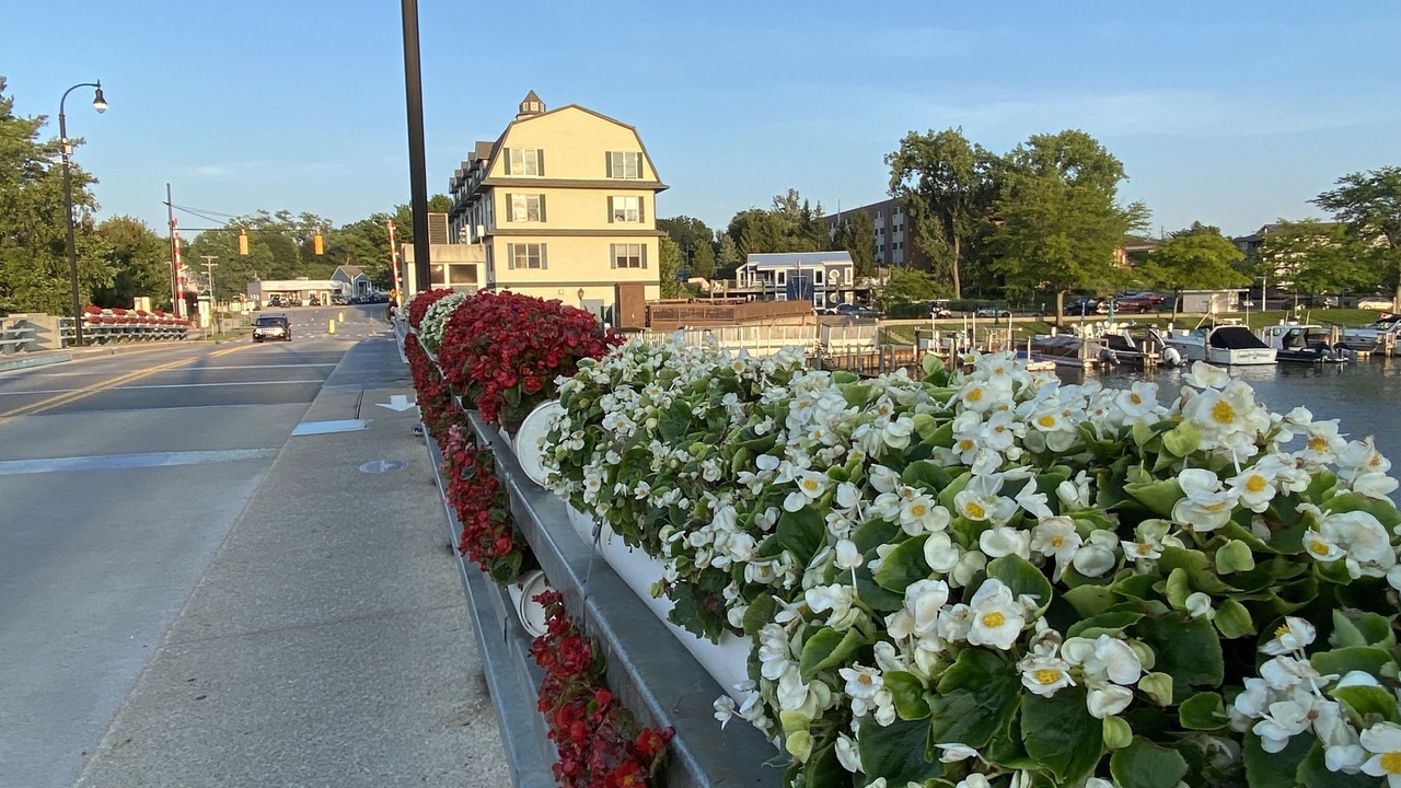 Photo of Others in South Haven