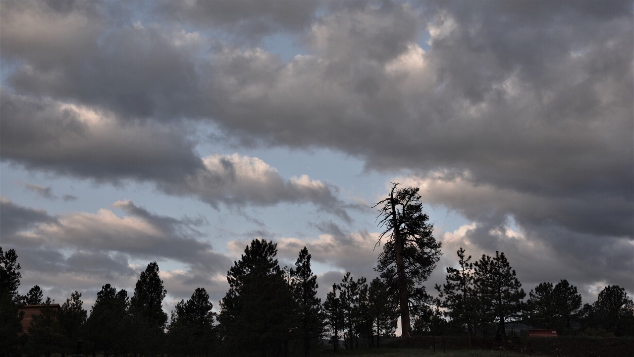 Photo of Others in Angel Fire