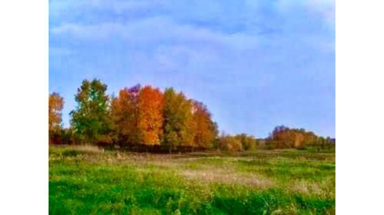 Photo of Outdoor in Brook Park