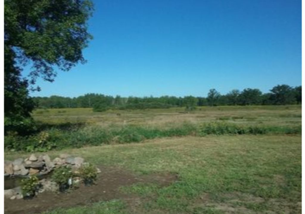 Photo of Outdoor in Brook Park