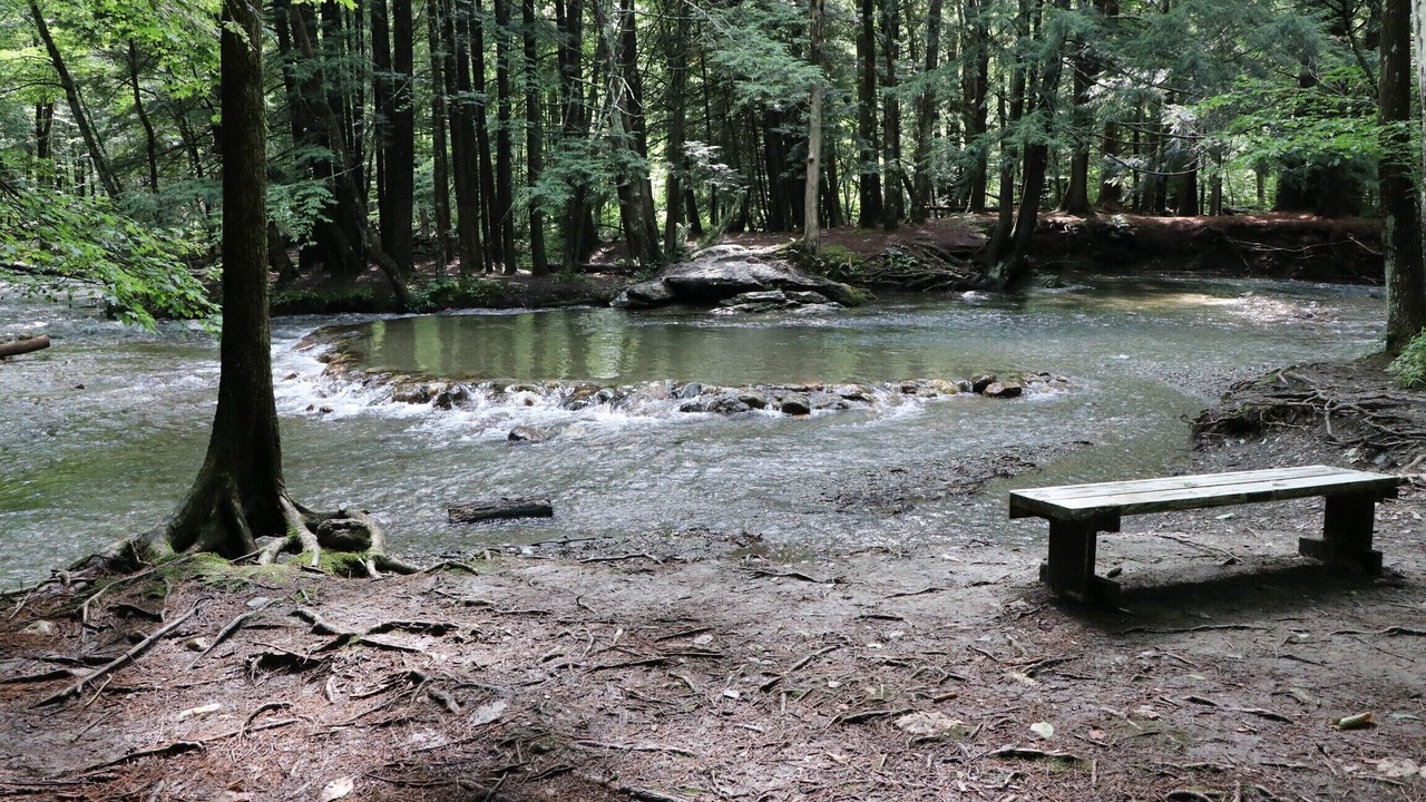 Photo of Outdoor in Dorset