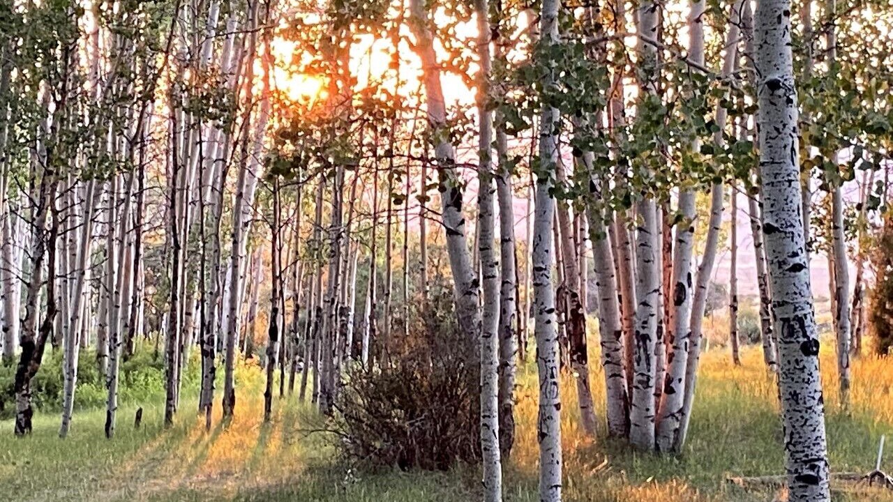 Photo of Outdoor in Amalia