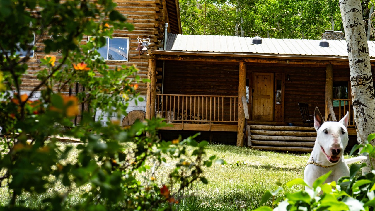 Photo of Outdoor in Amalia