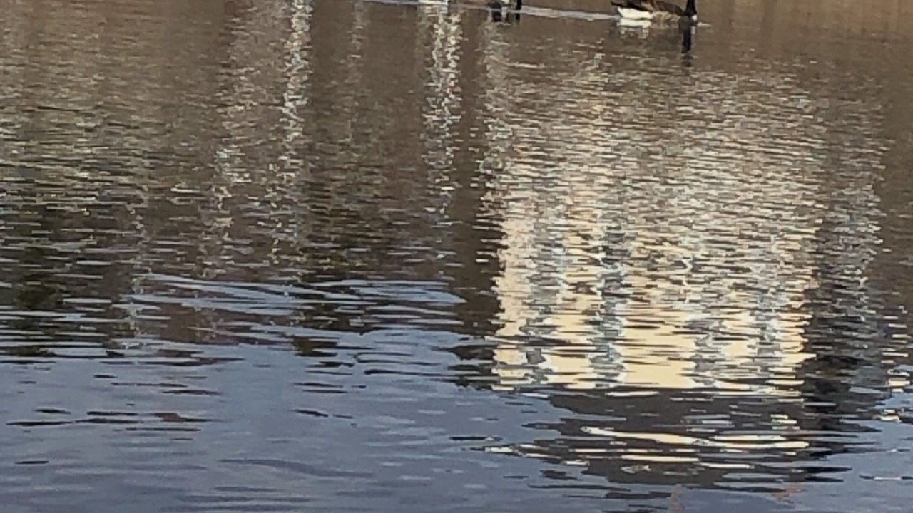 Photo of Others in Concord